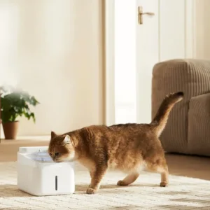 Xiaomi Smart Pet Fountain EU — imagem 3