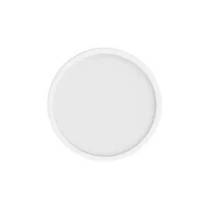 Xiaomi Smart Ceiling Light D20