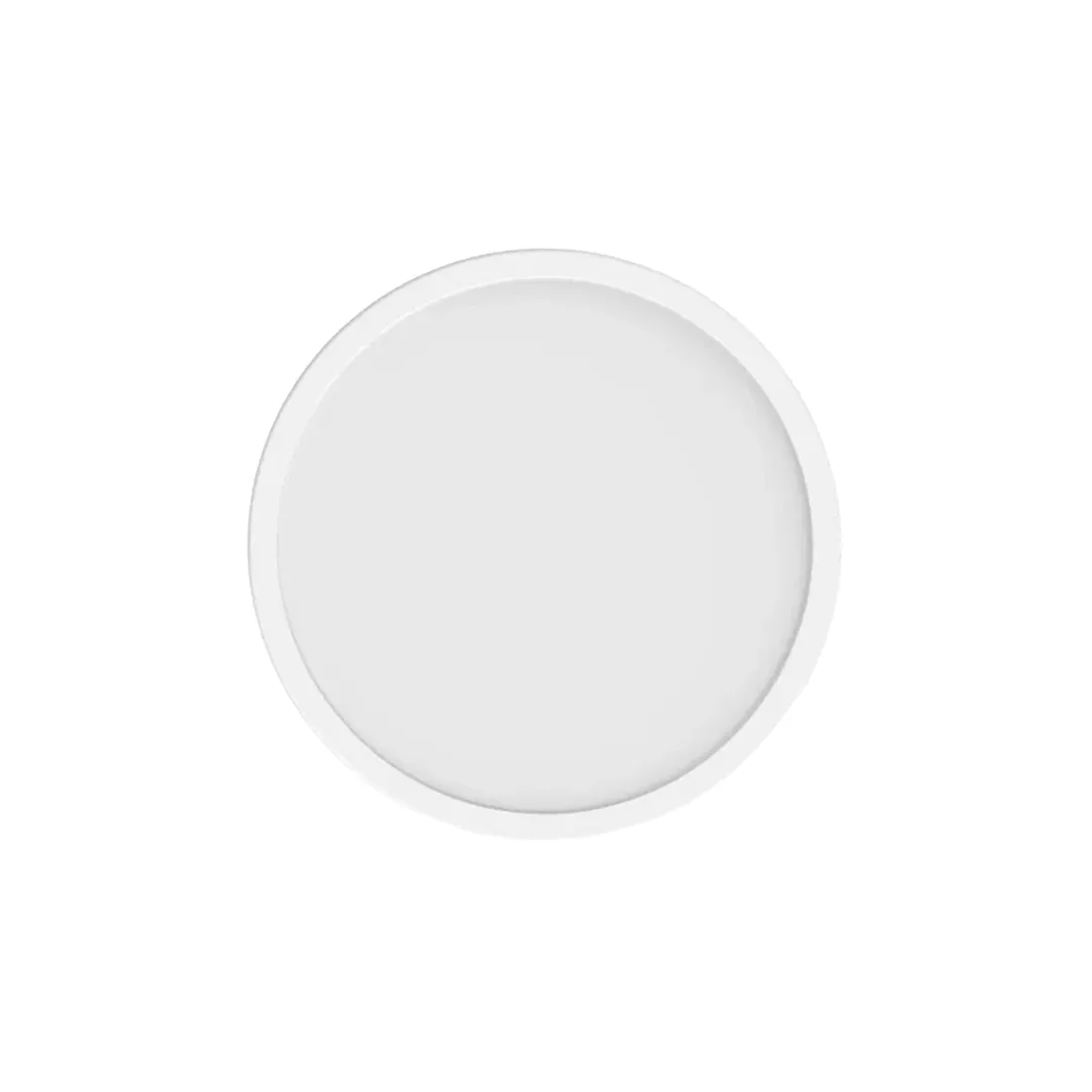 00001466-1 Xiaomi Smart Ceiling Light D20